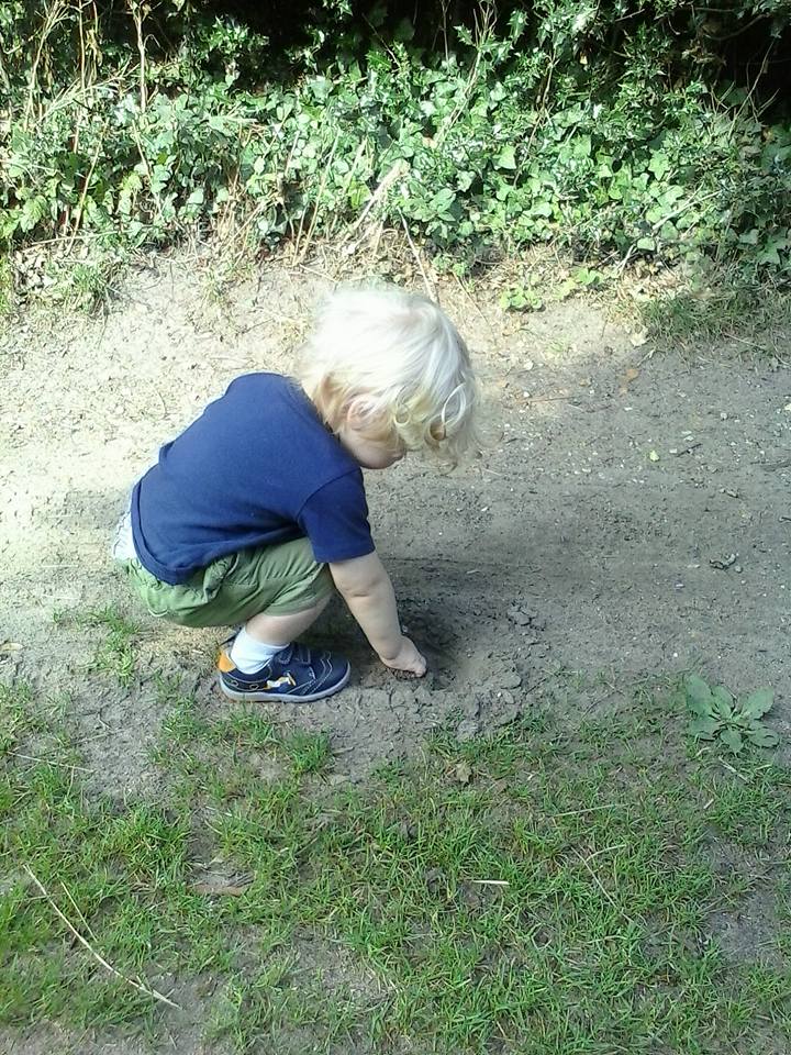 11889626_1028807190471879_5952087130499316575_n