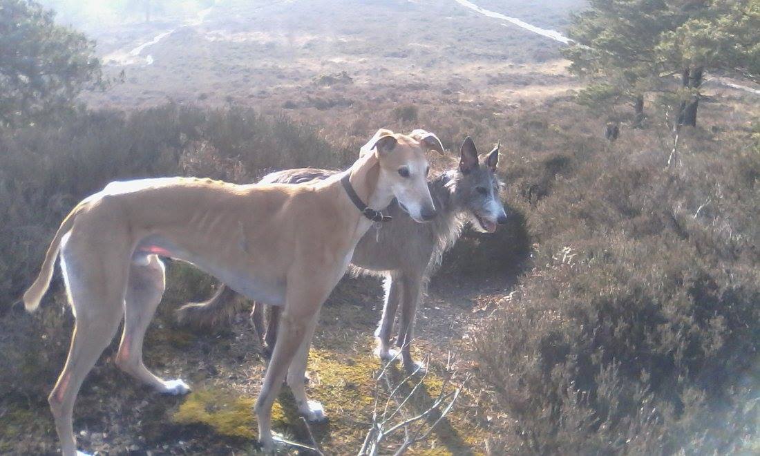 10286760_1136279273058003_3866043794918614581_o