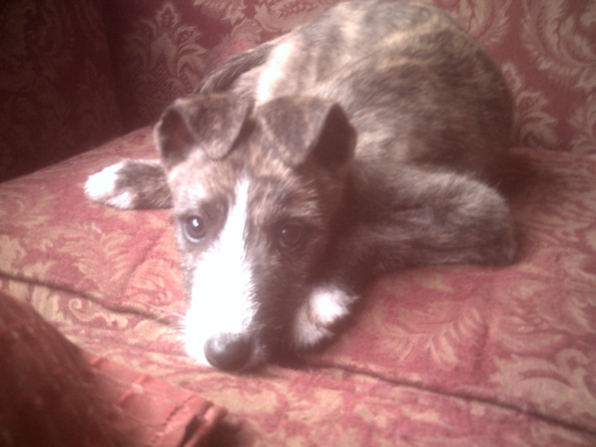 240314_214647258554547_6245999_o