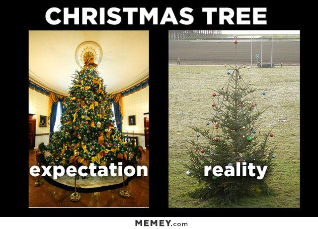 funny-christmas-trees-expectation-vs-reality